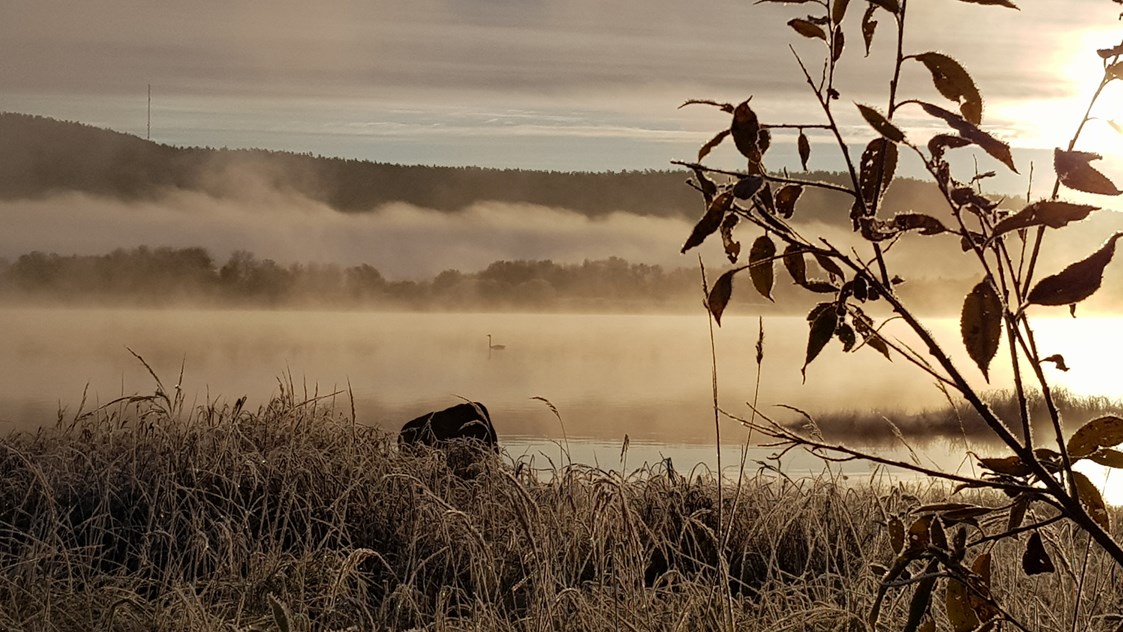 Rollstuhl-Urlaub: The first mists and frosts of Autumn on the river Torne. The hill in the background is Finland. We are right on the border between Sweden and Finland so both countries can be explored.  - The Friendly Moose Lapland