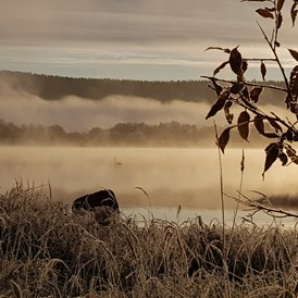 Rollstuhl-Urlaub: The first mists and frosts of Autumn on the river Torne. The hill in the background is Finland. We are right on the border between Sweden and Finland so both countries can be explored.  - The Friendly Moose Lapland