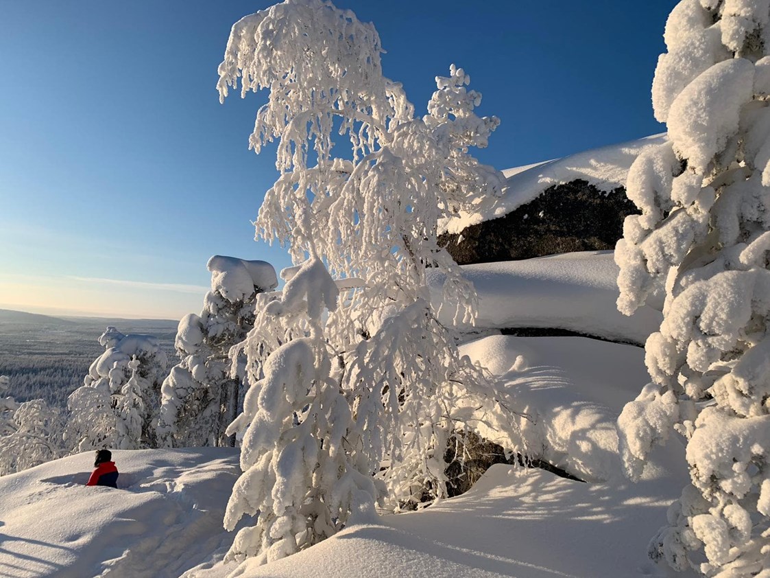 Rollstuhl-Urlaub: A Winter Wonderland - The Friendly Moose Lapland