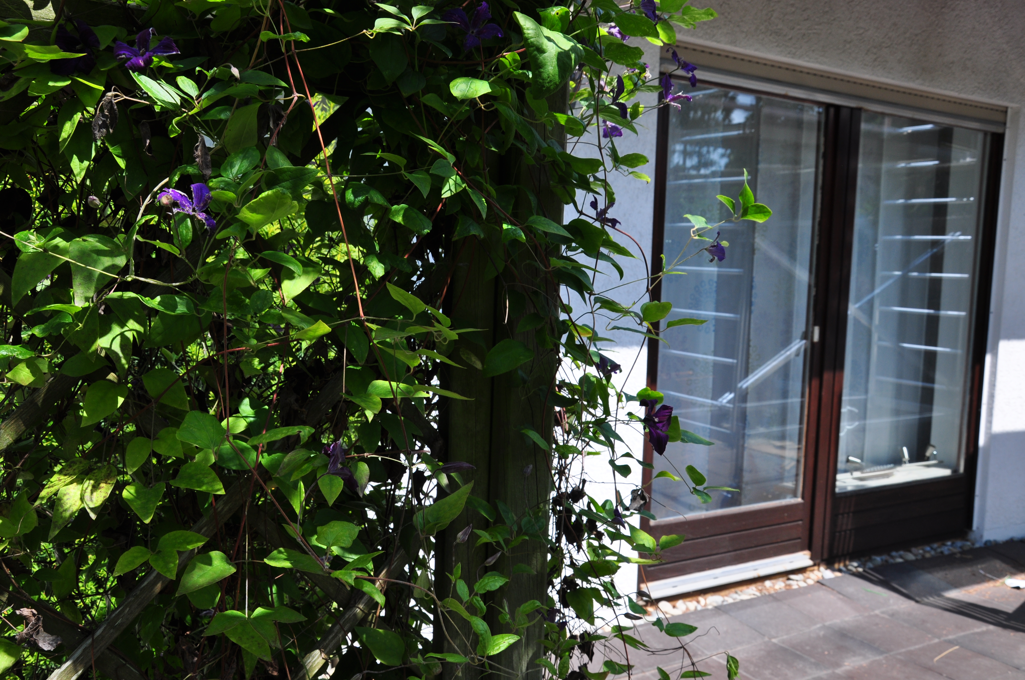 Rollstuhl-Urlaub: Fewo Bunte Burg