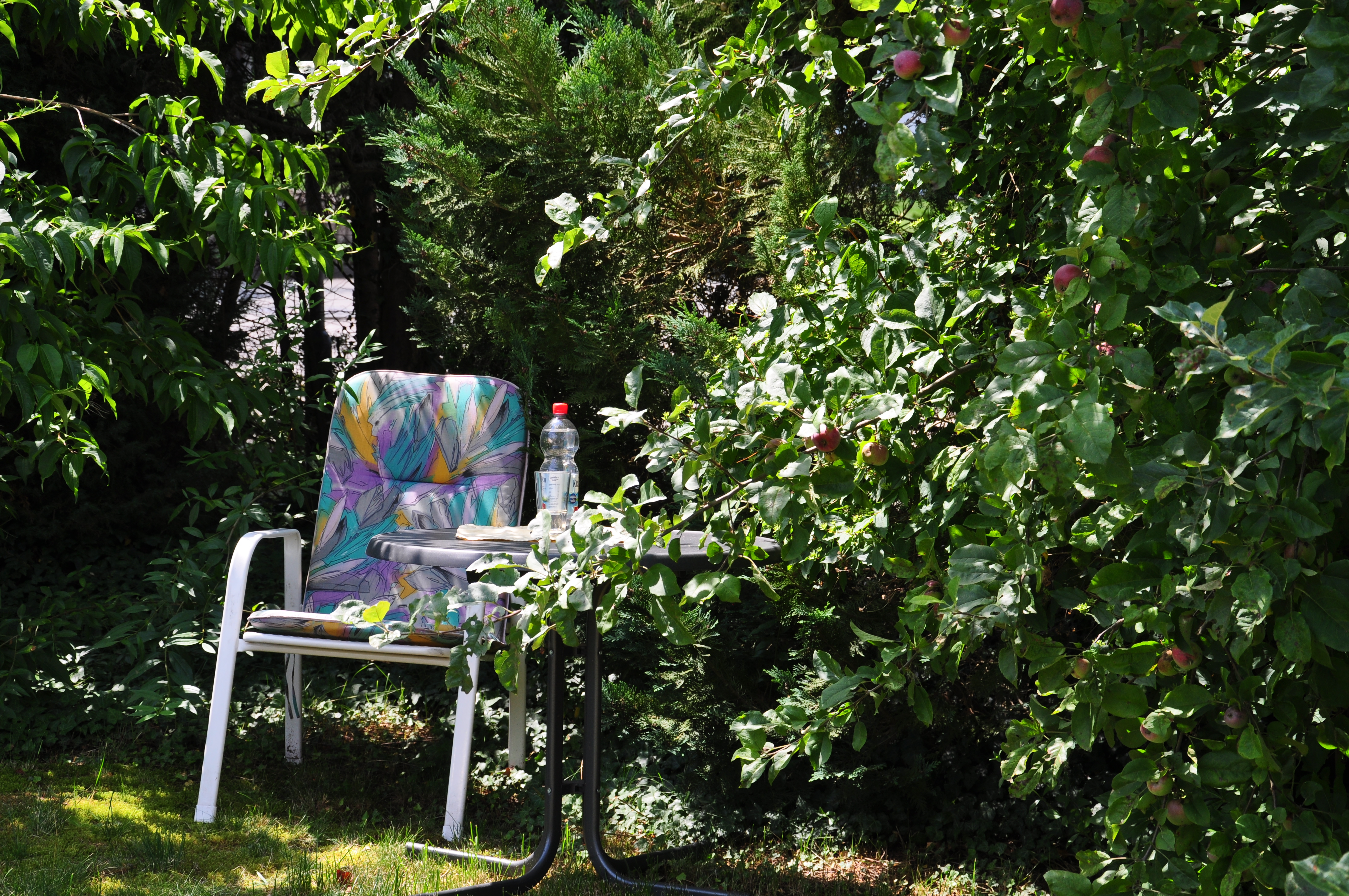 Rollstuhl-Urlaub: Fewo Bunte Burg