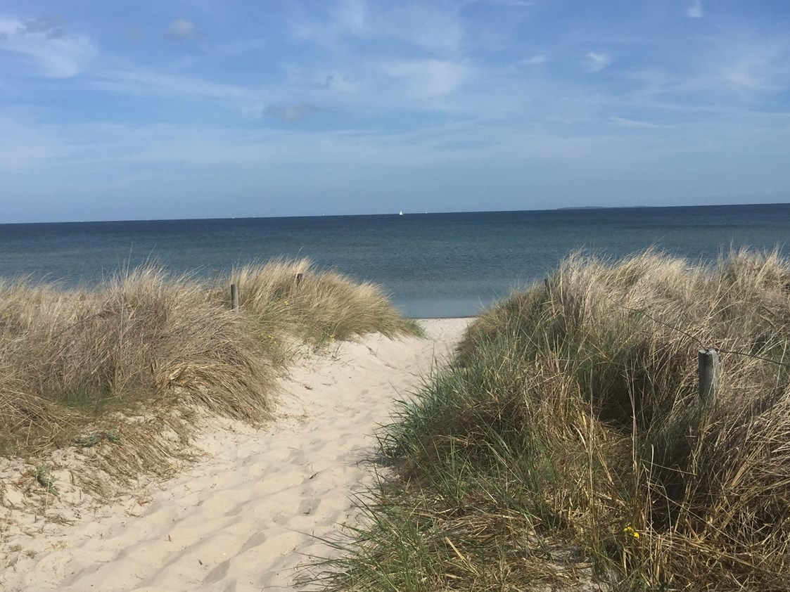 Rollstuhl-Urlaub: Strandabgang auf Rügen - Ferienhaus“Rügen-Traum“ für bis zu 8 Personen auf Rügen