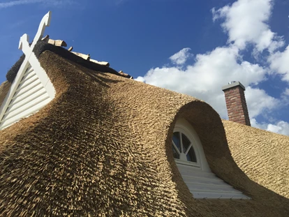 Rollstuhlgerechte Unterkunft - Unterkunftsart: Ferienhaus - Impression vom Ferienhaus"Rügen-Traum" - Ferienhaus“Rügen-Traum“ für bis zu 8 Personen auf Rügen