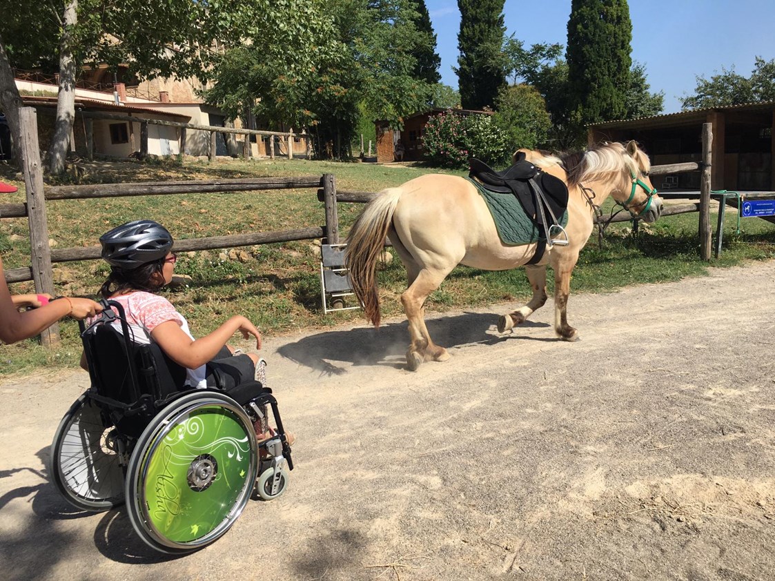 Rollstuhl-Urlaub: Training mit Polka:-)  - Equinoterapia Girona Mas Alba