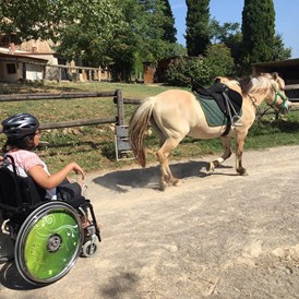 Rollstuhl-Urlaub: Training mit Polka:-)  - Equinoterapia Girona Mas Alba