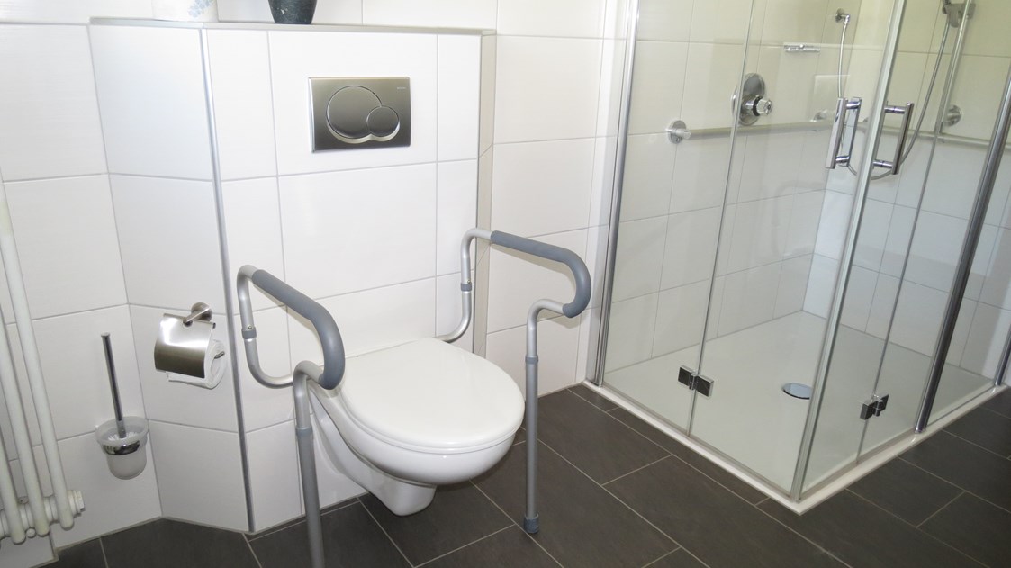 Rollstuhl-Urlaub: Stürzgriffe am WC in der Fewo Lavendel - Barrierefreie Ferienwohnung LAVENDEL  an der Mittelmosel mit Moselblick