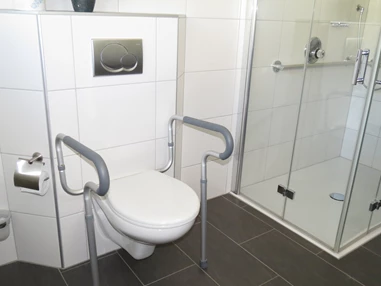 Rollstuhl-Urlaub: Stürzgriffe am WC in der Fewo Lavendel - Barrierefreie Ferienwohnung LAVENDEL mit Moselblick