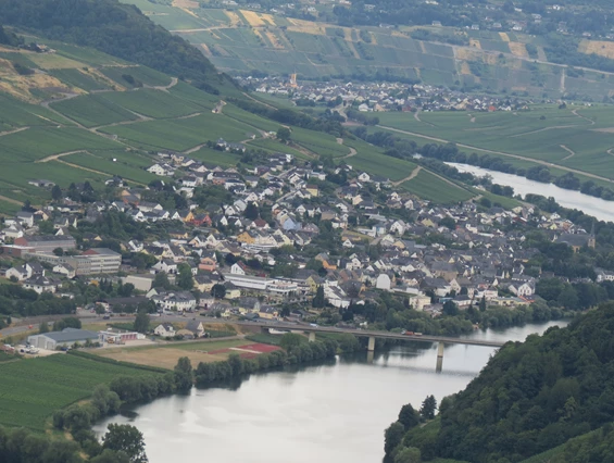 Rollstuhl-Urlaub: Neumagen-Dhron
aus der Vogelperspektive - Barrierefreie Ferienwohnung LAVENDEL mit Moselblick