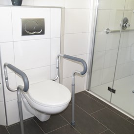 Rollstuhl-Urlaub: Stürzgriffe am WC in der Fewo Lavendel - Barrierefreie Ferienwohnung LAVENDEL mit Moselblick ab 115,-- pro Tag  2 Personen  