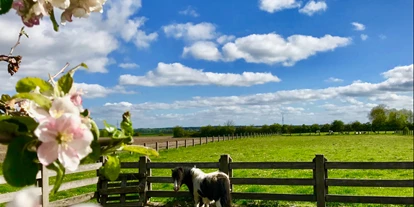 Rollstuhlgerechte Unterkunft - Pflegebett - Pony des Ferienhofs an der Nordsee - Behindertenferien Nordsee - Ferienhof für Menschen mit & ohne Handicap an der Nordsee