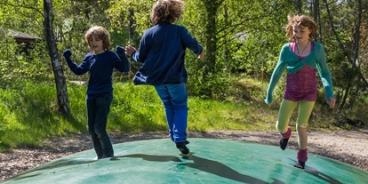 Rollstuhlgerechte Unterkunft - Unterkunftsart: Ferienhaus - Hüpfkissen - Dronningens Ferieby