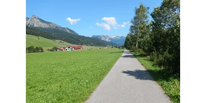 Rollstuhlgerechte Unterkunft - Pflegebett - Ausgedehnte Touren auf bestens geeigneten Wegen im Tal - Rollstuhlgerechte Ferienwohnung in Pfronten
