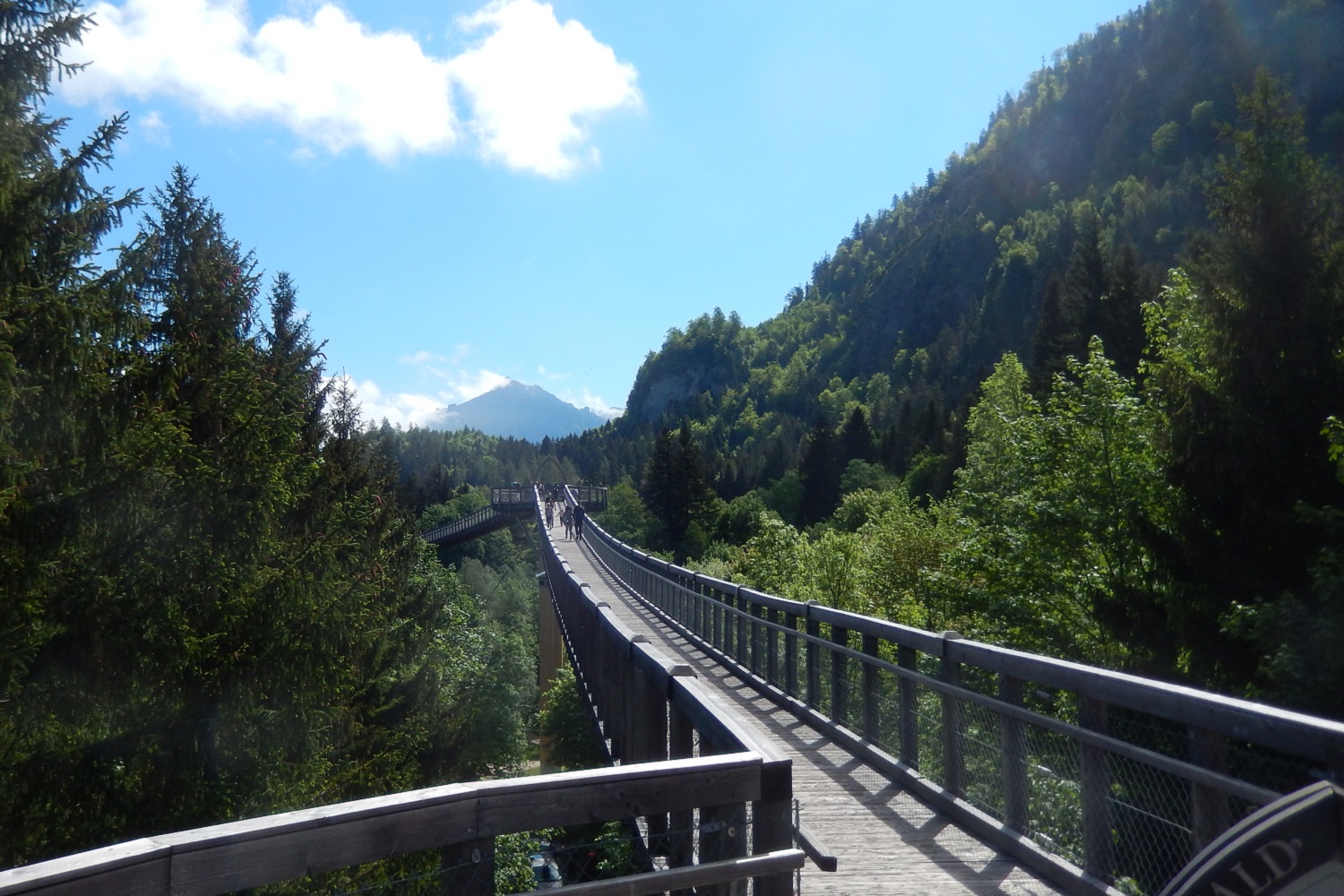 Barrierefreies Appartement in Pfronten Ausflugsziele speziell für Rollstuhlfahrer Baumkronenweg