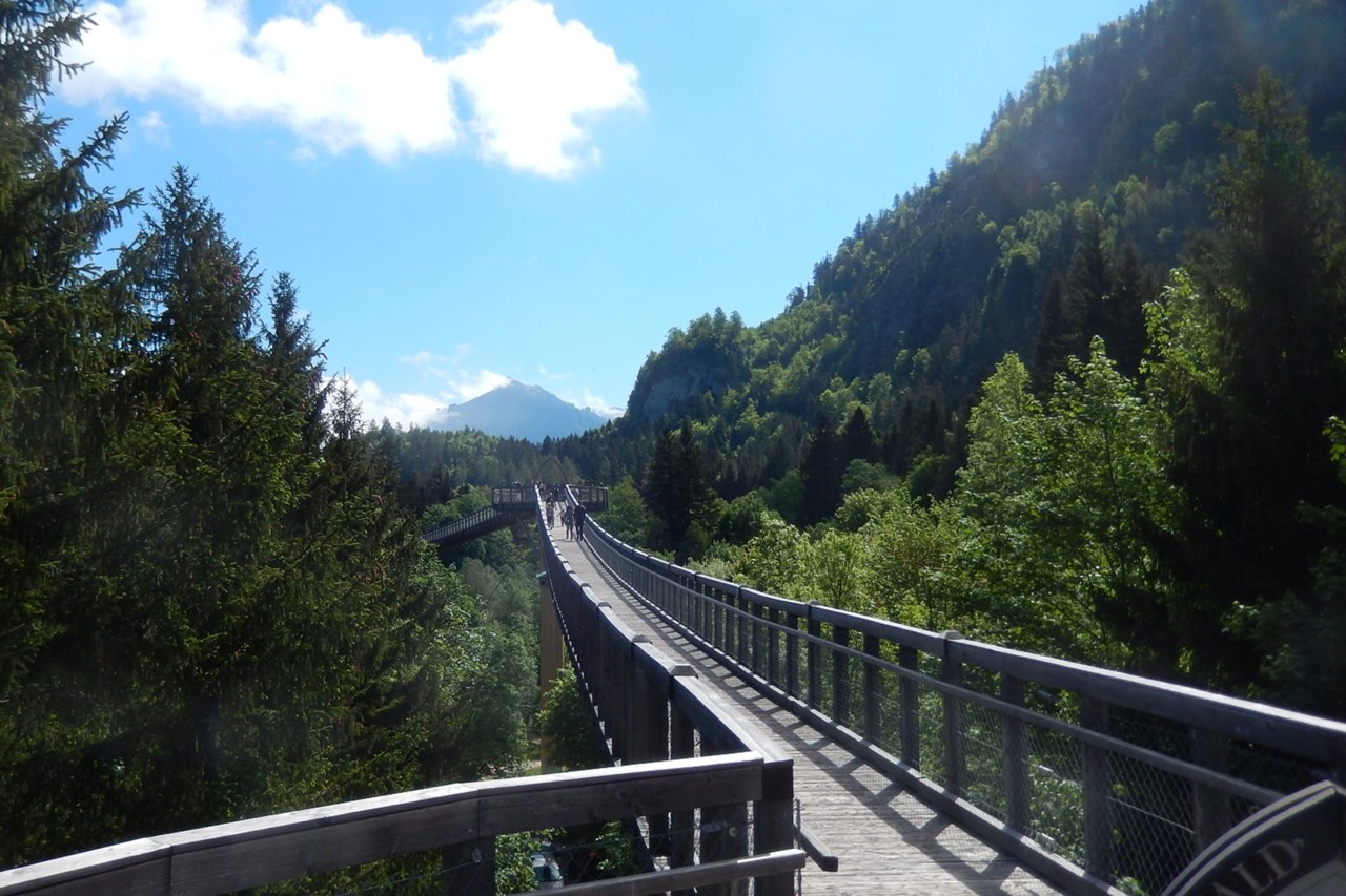 Barrierefreies Appartement in Pfronten Ausflugsziele speziell für Rollstuhlfahrer Baumkronenweg