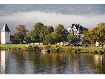 Rollstuhlgerechte Unterkunft - Unterkunftsart: Ferienhaus - Aussicht auf die Mosel - Ferienhaus in Trittenheim