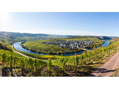 Rollstuhlgerechte Unterkunft - Unterkunftsart: Ferienhaus - Ihr Ferienziel Trittenheim an der Mosel - Ferienhaus in Trittenheim