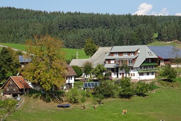 Rollstuhl-Urlaub: Biobauernhof im Schwarzwald mit vielen Tieren und eigener Käserei, inmitten von Natur, sonnig gelegen - Mooshof