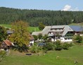 Rollstuhl-Urlaub: Biobauernhof im Schwarzwald mit vielen Tieren und eigener Käserei, inmitten von Natur, sonnig gelegen - Mooshof