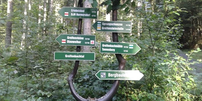 Rollstuhlgerechte Unterkunft - mit Hund - Seiffen/Erzgebirge - Greifenbachmühle