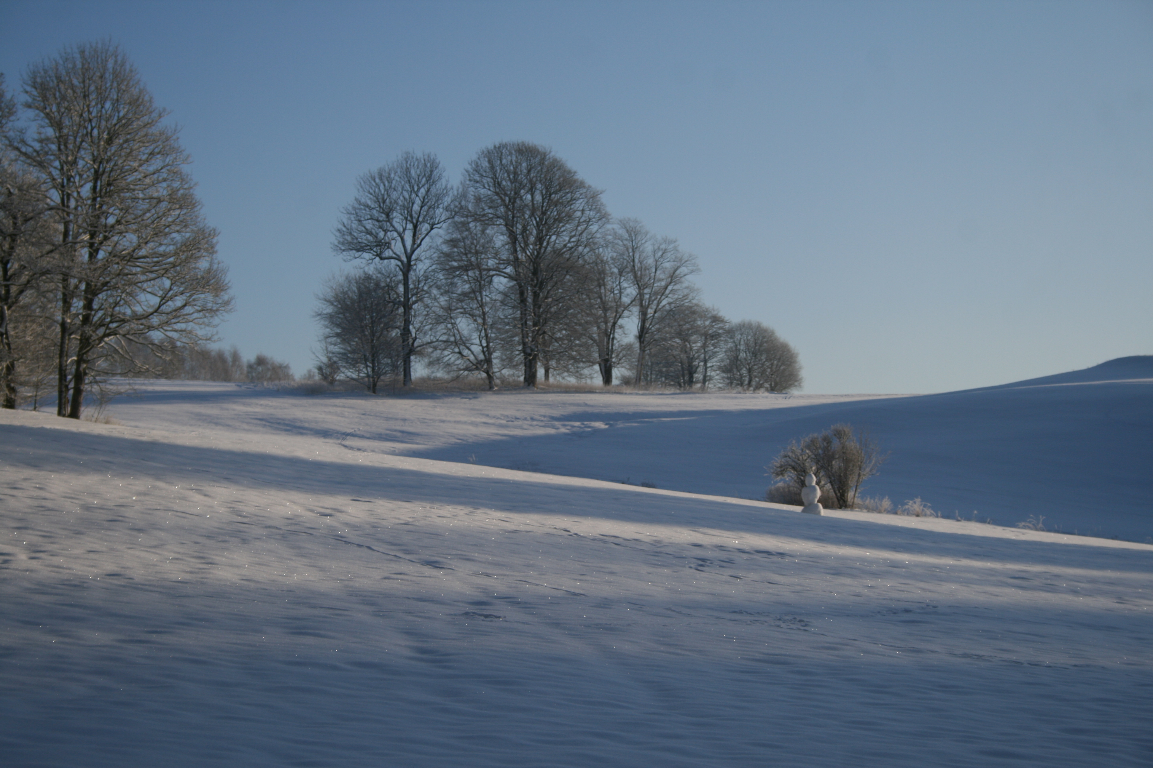 Rollstuhl-Urlaub: Greifenbachmühle