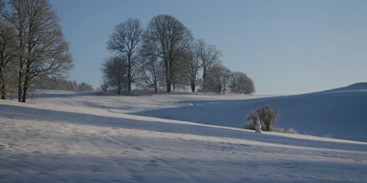 Rollstuhlgerechte Unterkunft - mit Hund - Seiffen/Erzgebirge - Greifenbachmühle