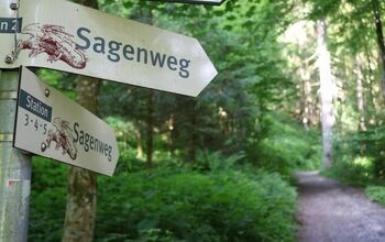 Berggasthof Sonne Pflegehotel Allgäu Ausflugsziele speziell für Rollstuhlfahrer Im Wald des Drachen 