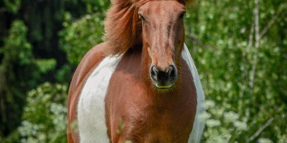 Rollstuhlgerechte Unterkunft - Pflegebett - Lazy Horse Ranch