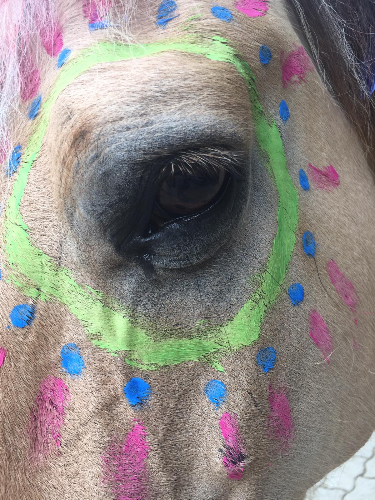 Rollstuhl-Urlaub: Lazy Horse Ranch