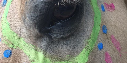 Rollstuhlgerechte Unterkunft - Pflegebett - Lazy Horse Ranch