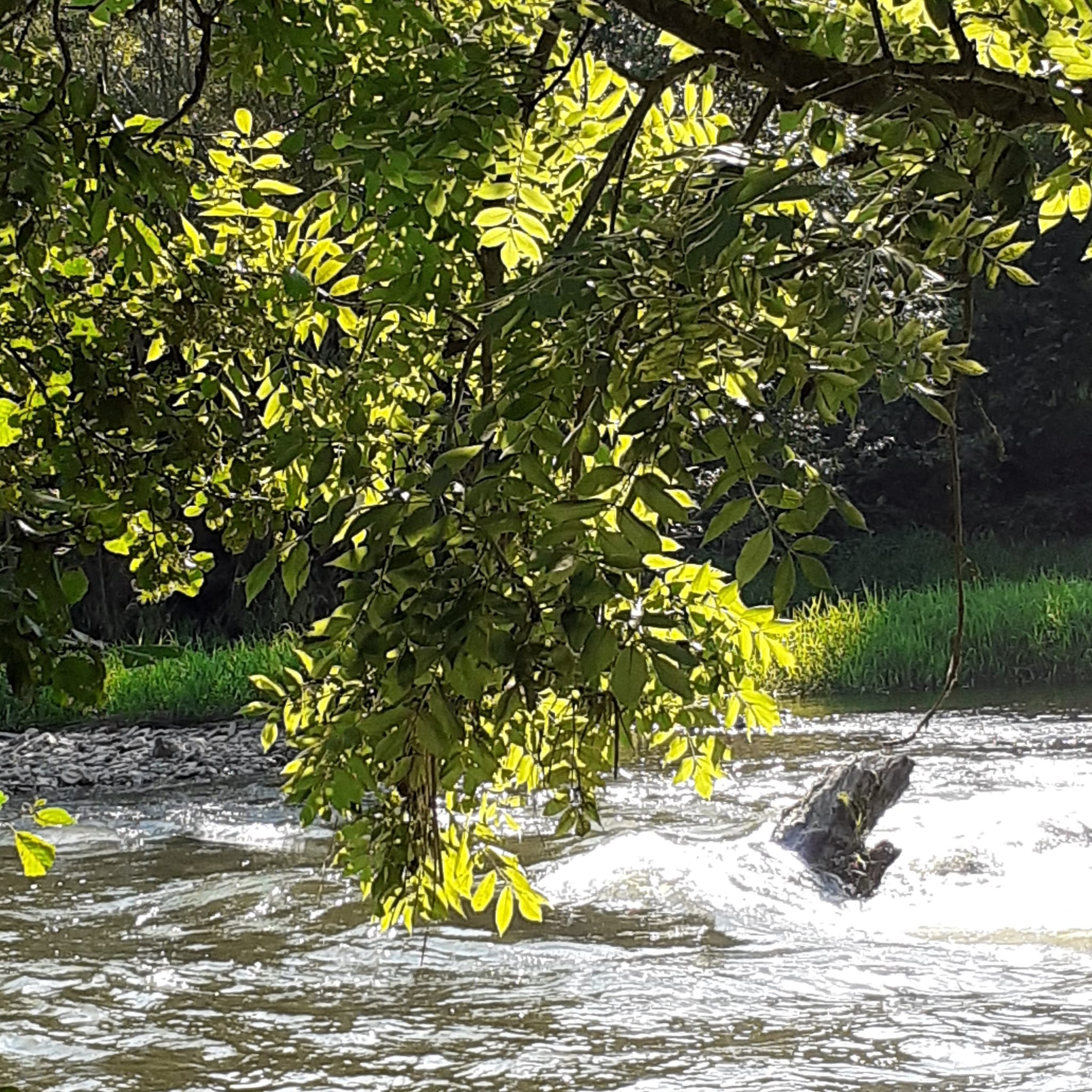 Rollstuhl-Urlaub: StadtLandFluss Plus