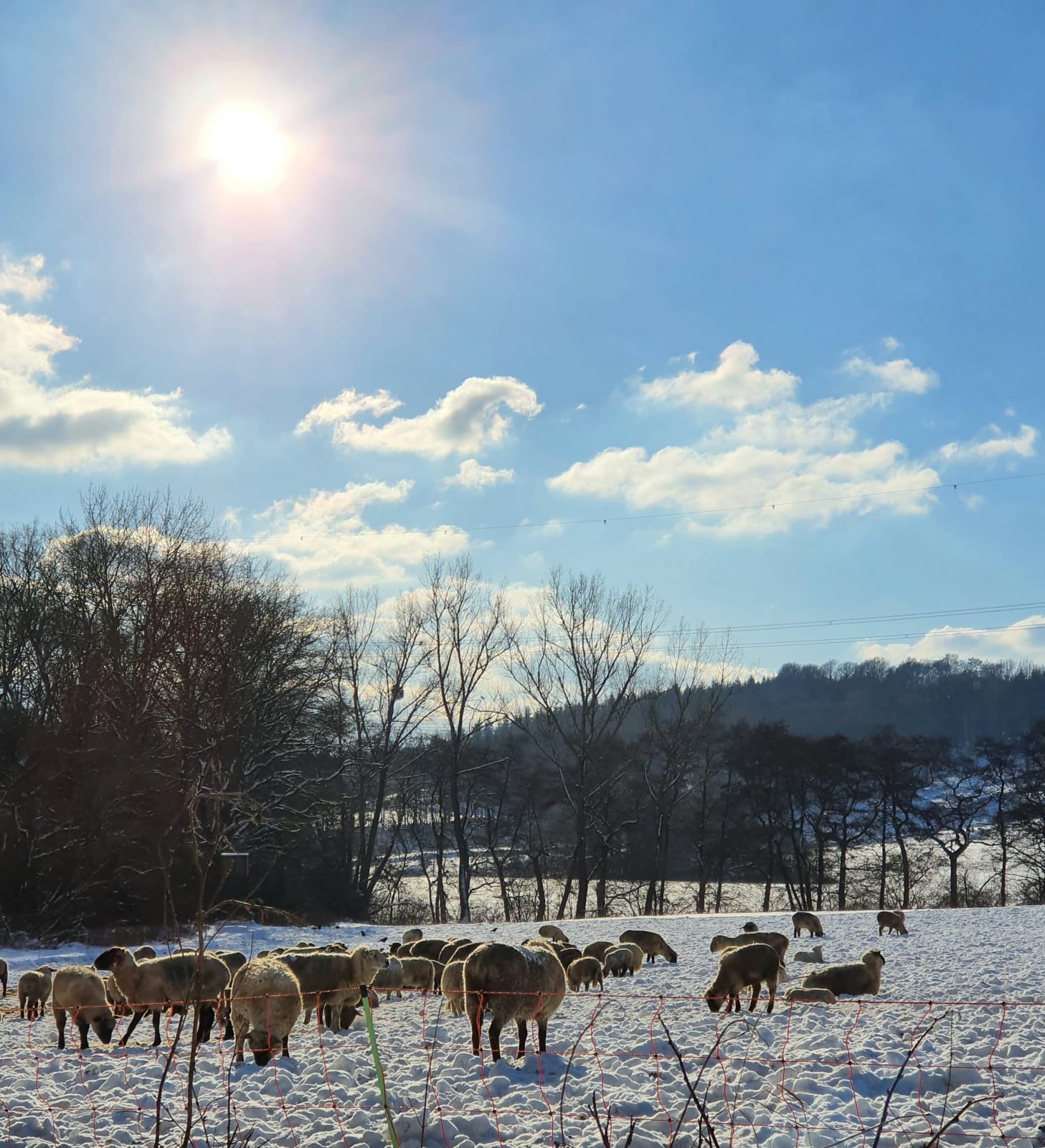 Rollstuhl-Urlaub: StadtLandFluss Plus