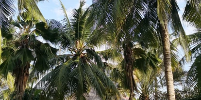 Rollstuhlgerechte Unterkunft - Unterkunftsart: Ferienhaus - Villa Kusini Kenia