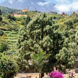 Rollstuhl-Urlaub: Reit-Therapiezentrum inmitten von Natur mit Blick auf den Teide - Riendas Vivas