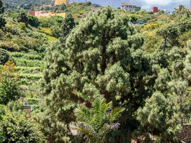 Rollstuhl-Urlaub: Reit-Therapiezentrum inmitten von Natur mit Blick auf den Teide - Riendas Vivas