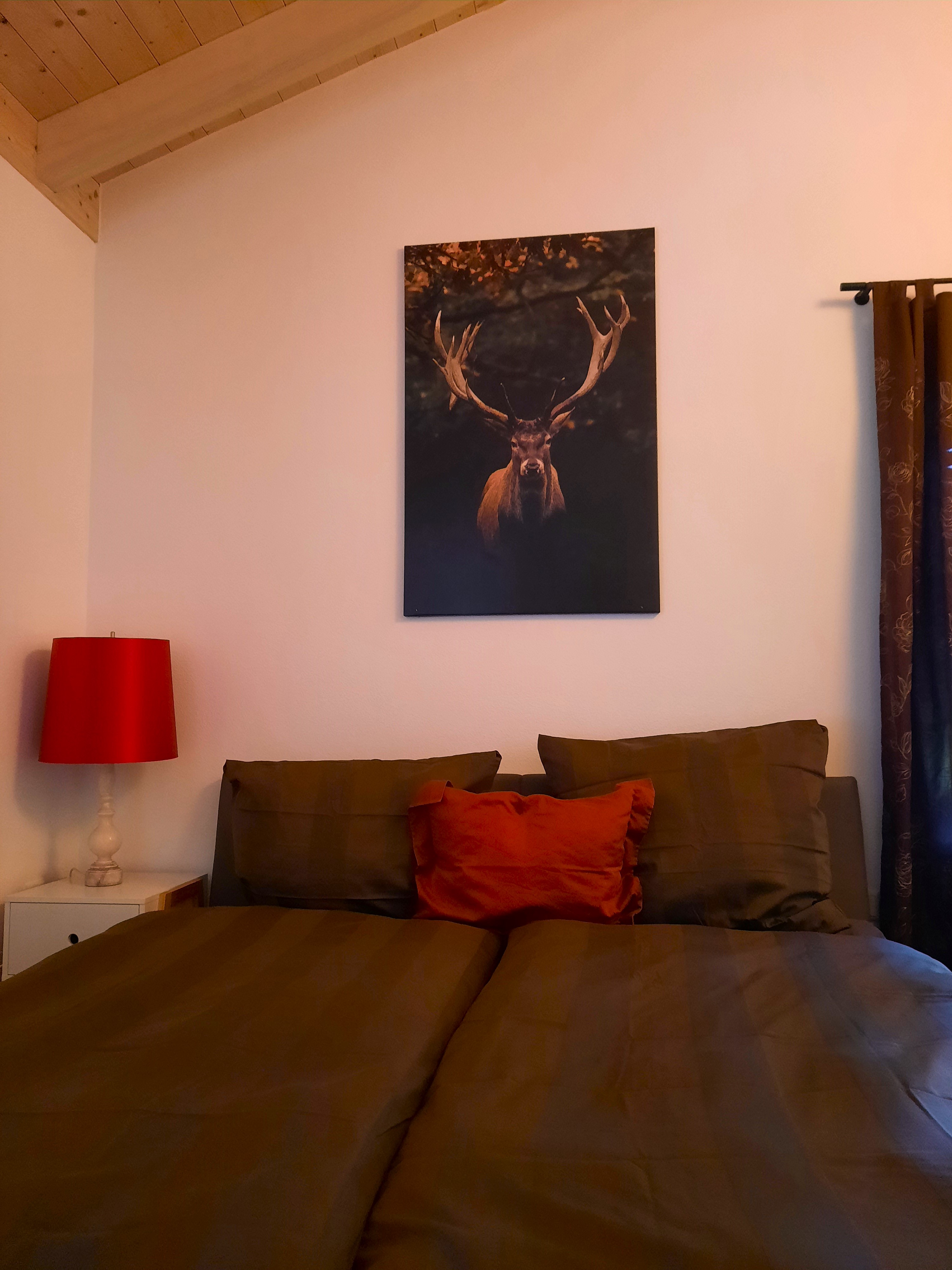 Rollstuhl-Urlaub: Geborgenheit und Ruhe - Ferienhaus Wollinger