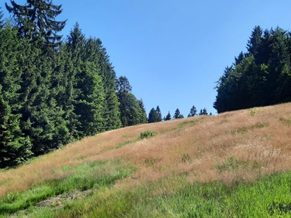 Rollstuhlgerechte Unterkunft - Unterkunftsart: Ferienhaus - Bergwiese - Ferienhaus Wollinger