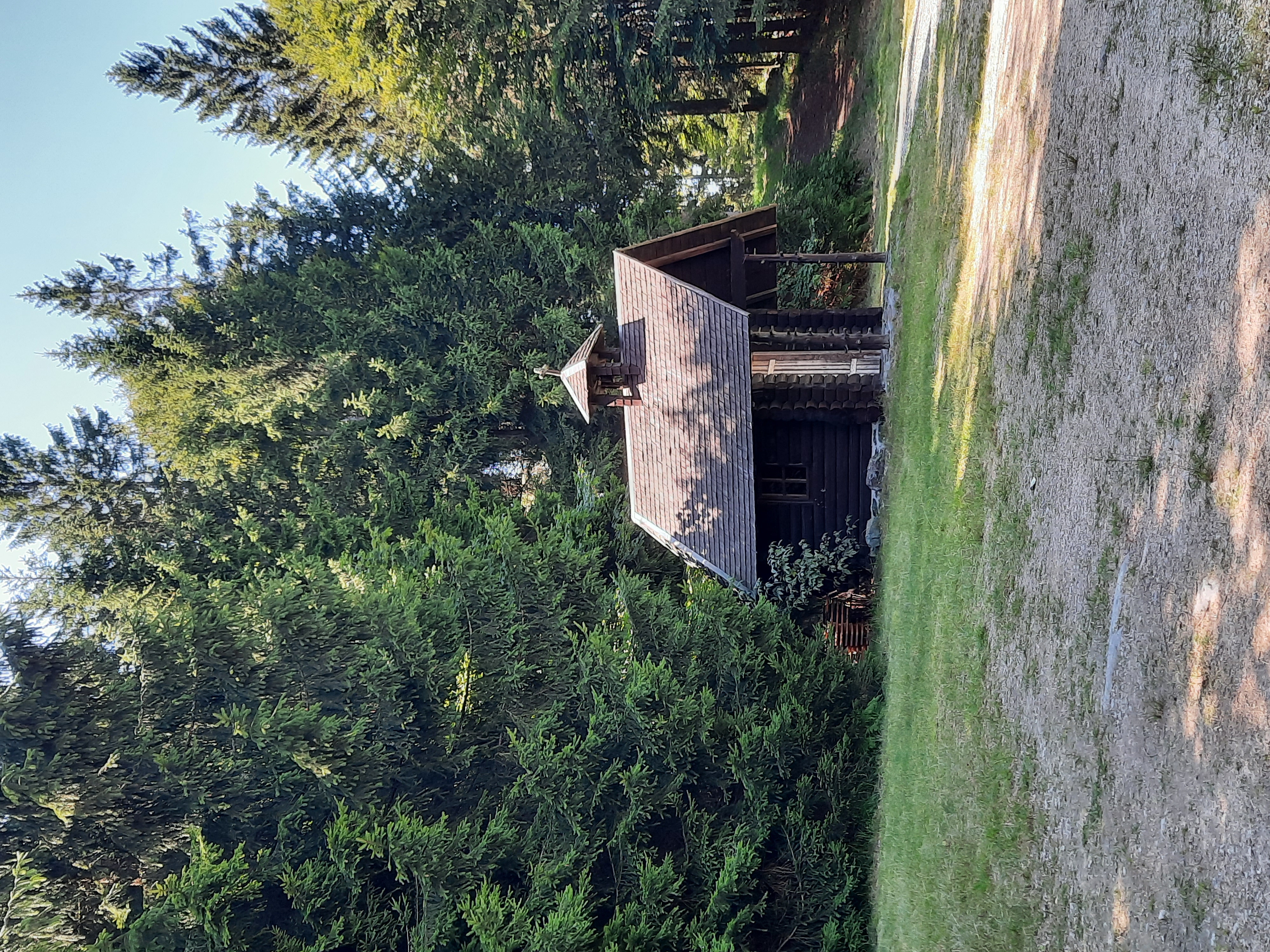 Rollstuhl-Urlaub: Bergkapelle - Ferienhaus Wollinger