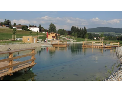 Rollstuhlgerechte Unterkunft - Unterkunftsart: Ferienhaus - Unser wunderschönes kostenfreies Naturbad - Ferienhaus Wollinger