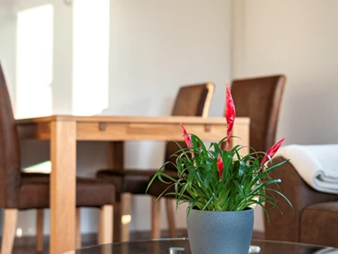 Rollstuhl-Urlaub: Esszimmer, bei Bedarf kann der Tisch gedreht oder Stühle entfernt werden. - Haus Hanghuhn