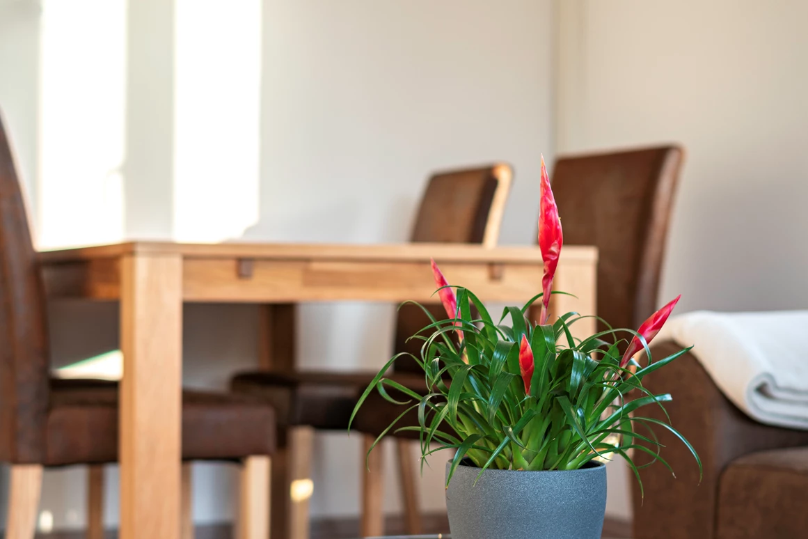 Rollstuhl-Urlaub: Esszimmer, bei Bedarf kann der Tisch gedreht oder Stühle entfernt werden. - Haus Hanghuhn