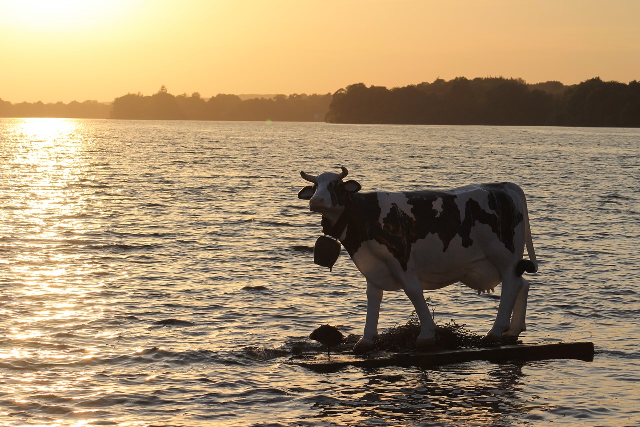Immenhagen Ferienwohnungen A. Kipp Ausflugsziele speziell für Rollstuhlfahrer Kellerssee-Fahrt, Dieksee-Fahrt und Fünf-Seen-Fahrt